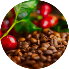 Coffee Marketplace